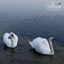 фото из отзыва ID 2679980