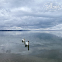 фото из отзыва ID 2679980