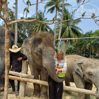 фото из отзыва ID 2680043