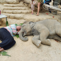 фото из отзыва ID 2680043