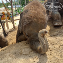 фото из отзыва ID 2680043