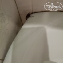 фото из отзыва ID 2680320