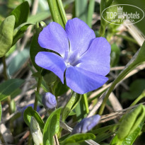 фото из отзыва ID 2680734