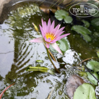 фото из отзыва ID 2680953