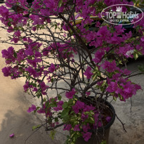 фото из отзыва ID 2680953