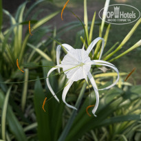 фото из отзыва ID 2680953
