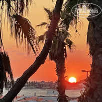 фото из отзыва ID 2681008