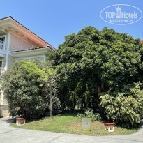 фото из отзыва ID 2681008