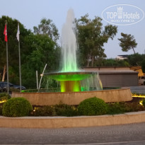 фото из отзыва ID 2681049