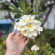 фото из отзыва ID 2681214