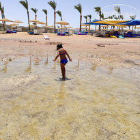 фото из отзыва ID 2681386