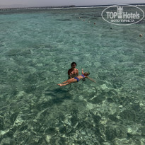 фото из отзыва ID 2681386