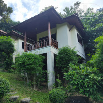 фото из отзыва ID 2681462