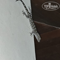 фото из отзыва ID 2681462