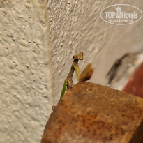 фото из отзыва ID 2681462