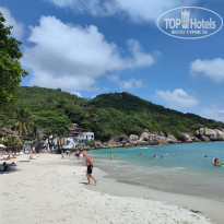 фото из отзыва ID 2681462