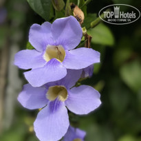 фото из отзыва ID 2681573