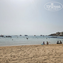 фото из отзыва ID 2682066