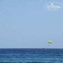 фото из отзыва ID 2682066