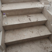 фото из отзыва ID 2682066