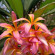 фото из отзыва ID 2682075