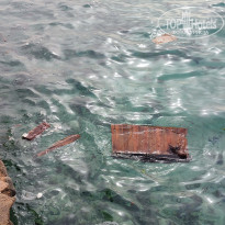 фото из отзыва ID 2682121