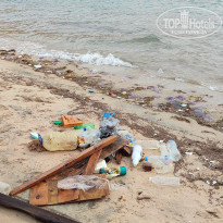 фото из отзыва ID 2682121