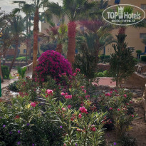 фото из отзыва ID 2682121