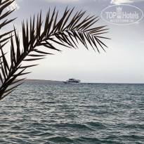 фото из отзыва ID 2682121