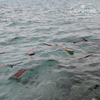 фото из отзыва ID 2682121