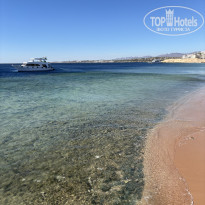 фото из отзыва ID 2682178