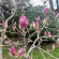фото из отзыва ID 2682310