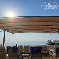 фото из отзыва ID 2682382