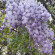 фото из отзыва ID 2682505