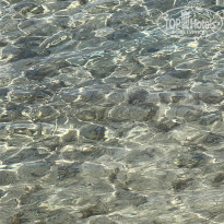 фото из отзыва ID 2682982