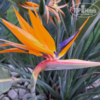 фото из отзыва ID 2683020