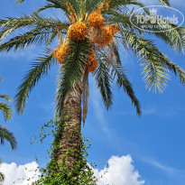 фото из отзыва ID 2683020