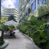 фото из отзыва ID 2683457