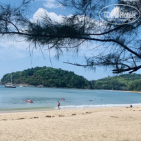 фото из отзыва ID 2683457