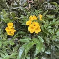 фото из отзыва ID 2683519