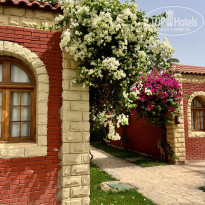 фото из отзыва ID 2683544