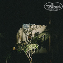 фото из отзыва ID 2683549