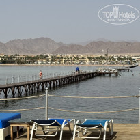 фото из отзыва ID 2683907