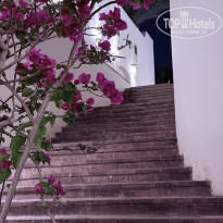 фото из отзыва ID 2684032