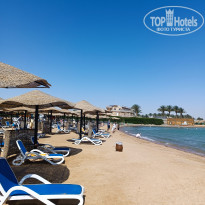 фото из отзыва ID 2684063