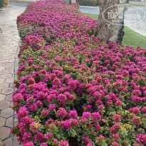фото из отзыва ID 2684233