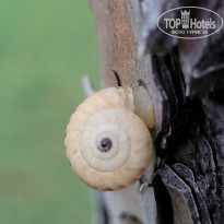 фото из отзыва ID 2685232