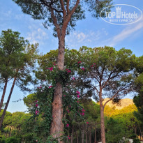 фото из отзыва ID 2685232