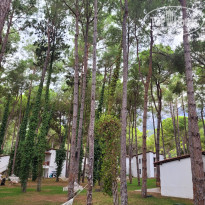 фото из отзыва ID 2685232