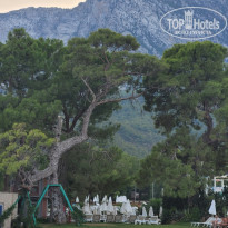 фото из отзыва ID 2685232